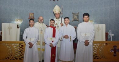 الرسامة الشماسية الرسامة الشماسية