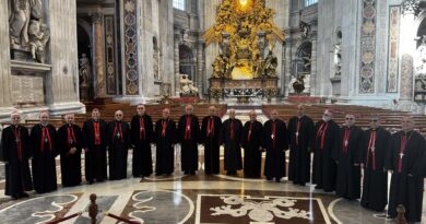 كلمة قداسة البابا ليون الى سينودس الأساقفة الكلدان المنعقد في روما في يوم 10 نيسان كلمة قداسة البابا ليون الى سينودس الأساقفة الكلدان المنعقد في روما في يوم 10 نيسان