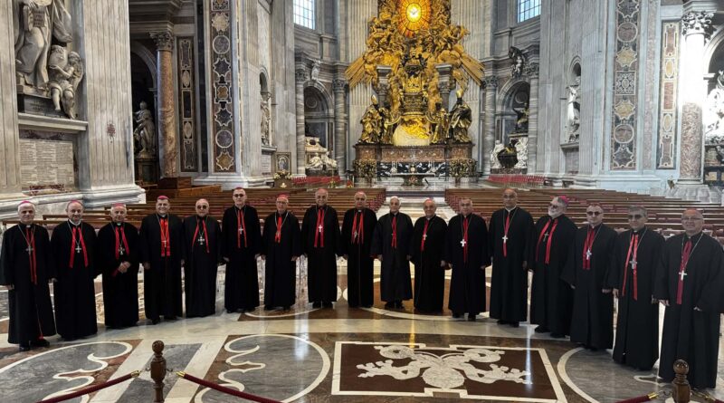 كلمة قداسة البابا ليون الى سينودس الأساقفة الكلدان المنعقد في روما في يوم 10 نيسان كلمة قداسة البابا ليون الى سينودس الأساقفة الكلدان المنعقد في روما في يوم 10 نيسان